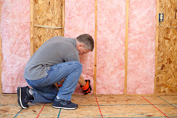 Best Soundproof Insulation Installation  in Stone Park, IL