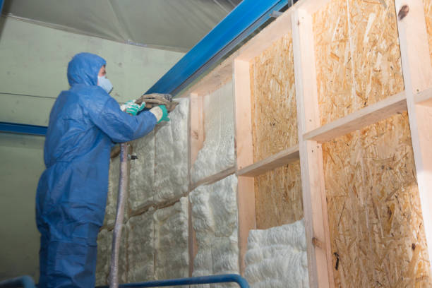 Best Cellulose Insulation  in Stone Park, IL